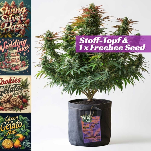 Grow Stofftopf Living Soil organic